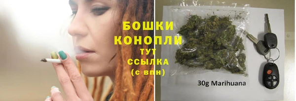 индика Володарск