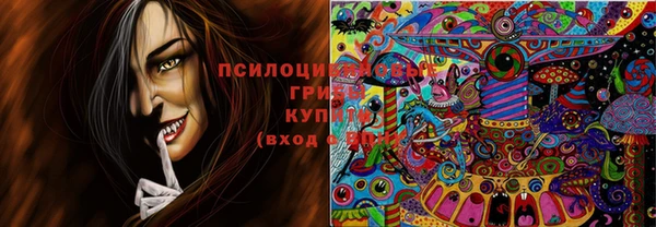 jwh Елизово