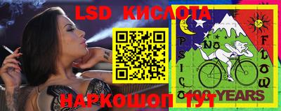 хмурый Кингисепп