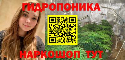 хмурый Кингисепп