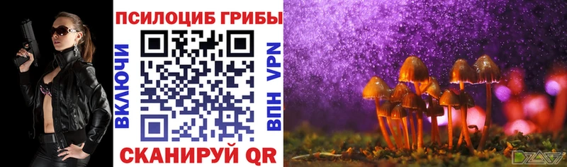 Галлюциногенные грибы Psilocybine cubensis  Новозыбков 