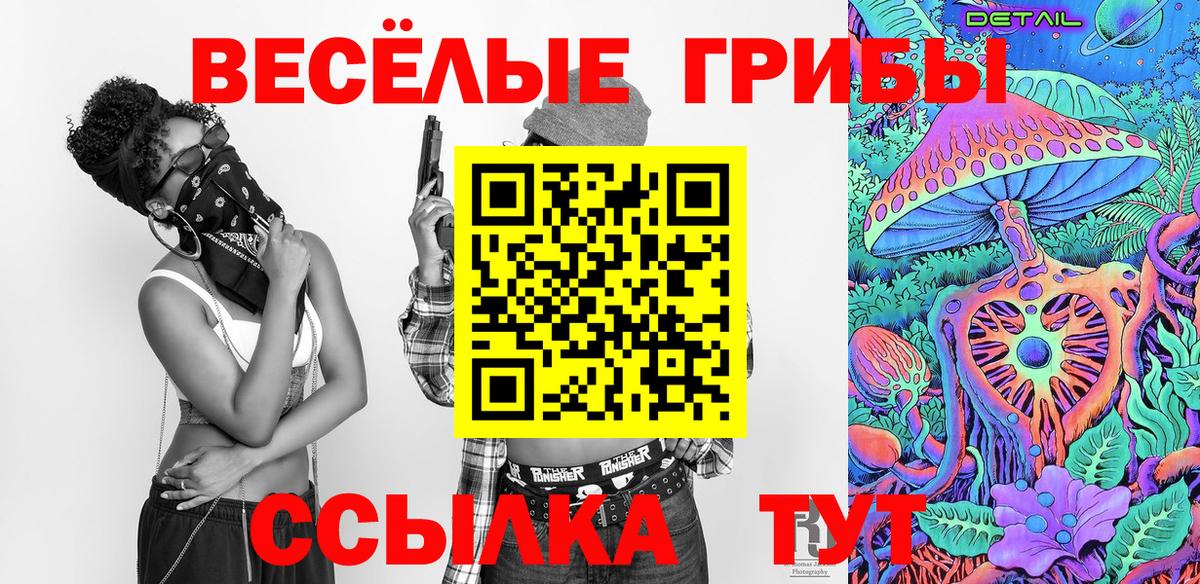 Псилоцибиновые грибы Magic Shrooms  Новозыбков 