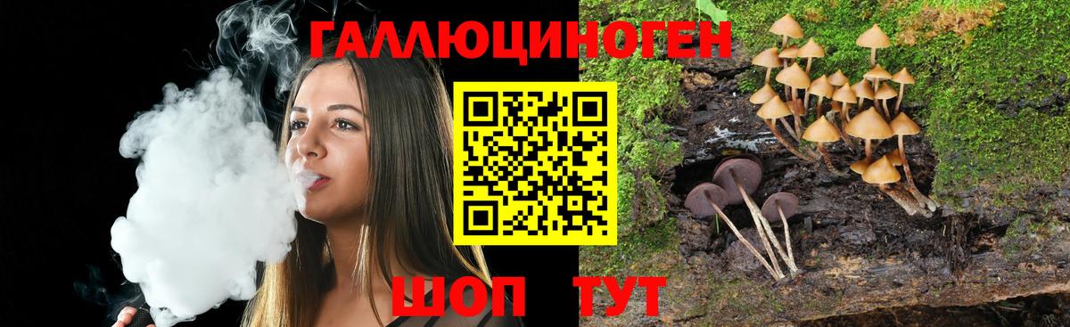 Галлюциногенные грибы MAGIC MUSHROOMS  Вход с VPN  Новозыбков 