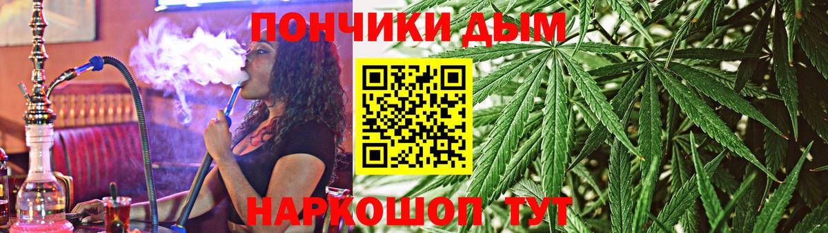 Новозыбков  Конопля ГИДРОПОН  Вход с VPN  МАРИХУАНА тримм 